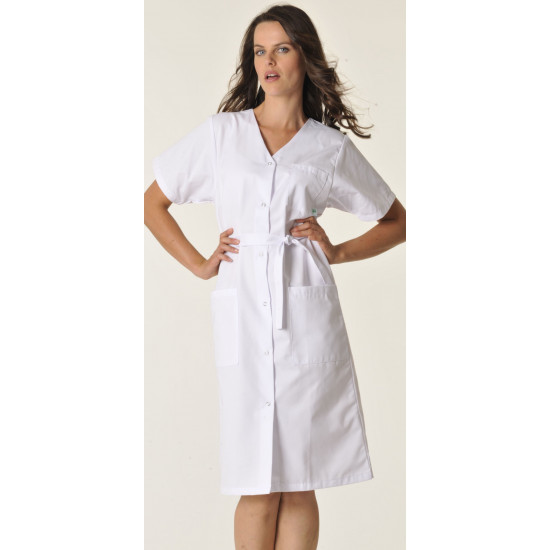 Blouse femme unie manches courtes