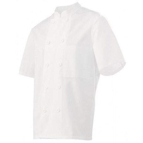 Veste cuisinier patissier manches courtes molinel