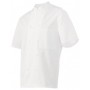 Veste cuisinier patissier manches courtes molinel