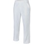 Pantalon de travail BASIQUE BLANC Molinel
