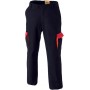 Pantalon homme mécanicien carrossier Meka Molinel