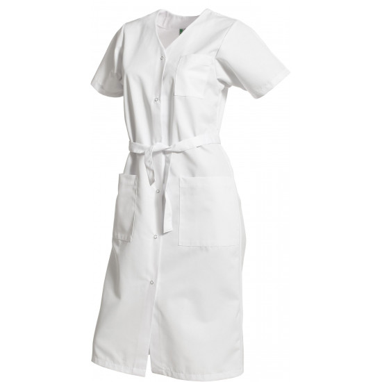 Blouse femme unie manches courtes