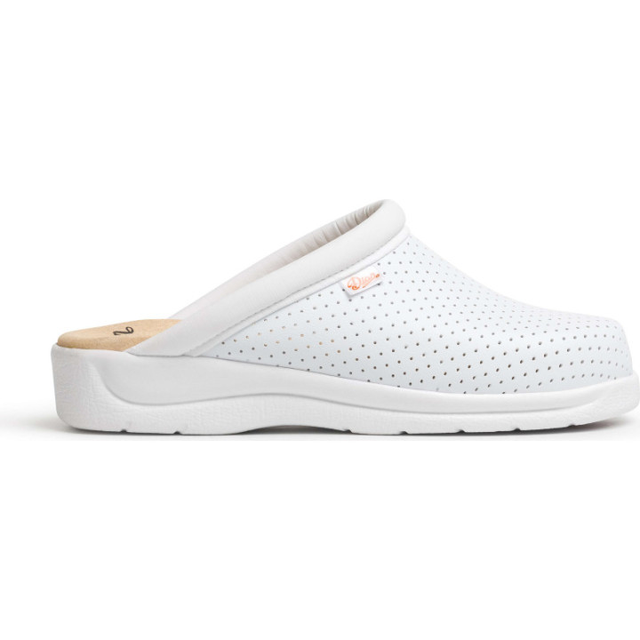 Sabot en cuir DIAN antidérapant norme EN ISO 20347