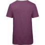 T-shirt Triblend col rond Homme