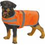 Gilet réfléchissant pour chien