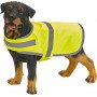 Gilet réfléchissant pour chien