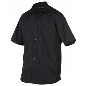 Chemise Homme manches courtes Molinel