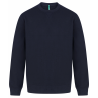 Sweat-shirt unisexe coupe regular