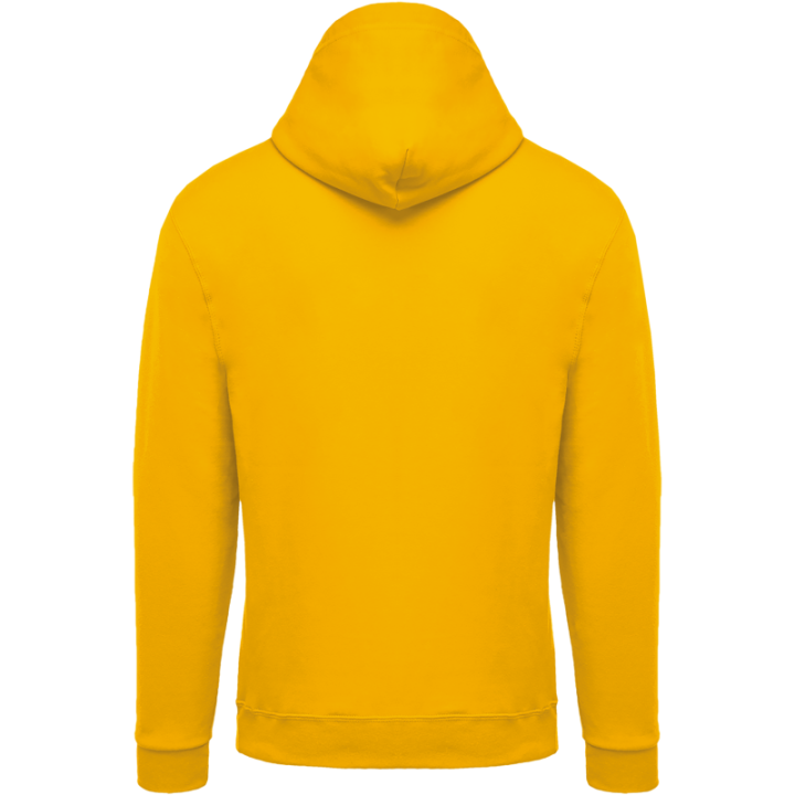 Sweat-shirt zippé capuche