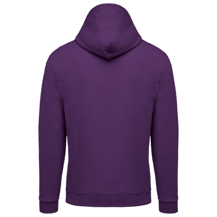 Sweat-shirt zippé capuche