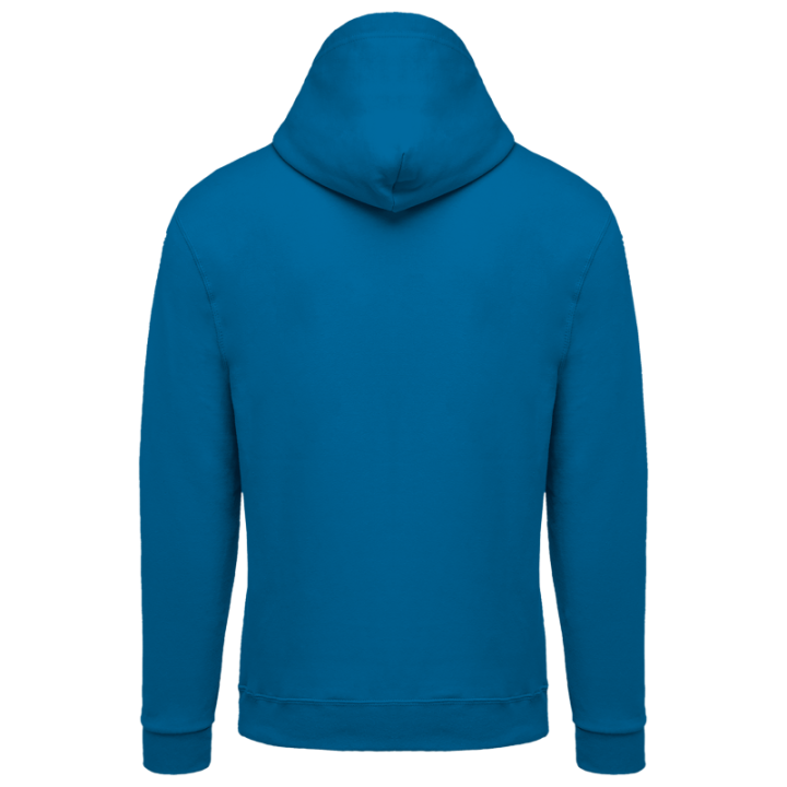 Sweat-shirt zippé capuche
