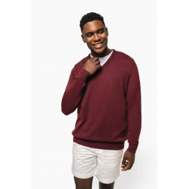 Pull homme col v