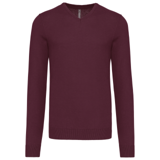 Pull homme col v
