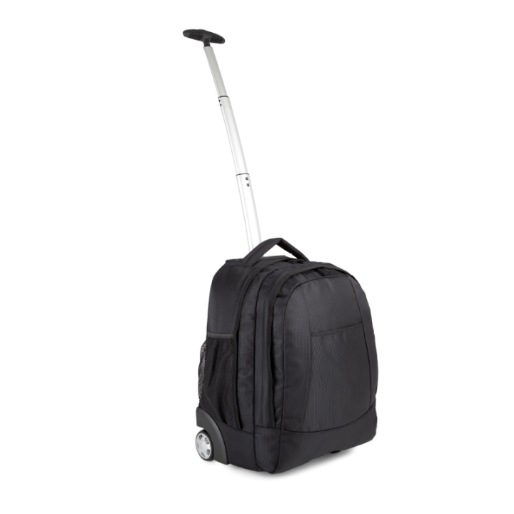 Valise cabine trolley business