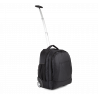 Valise cabine trolley business