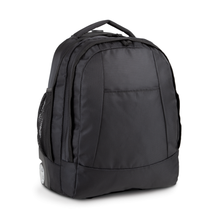 Valise cabine trolley business