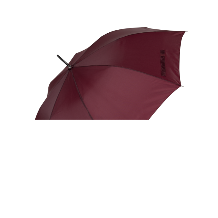 Parapluie de golf