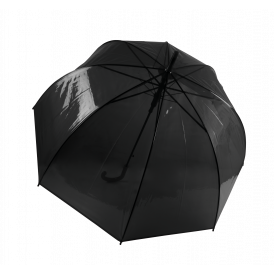 Parapluie transparent (2)