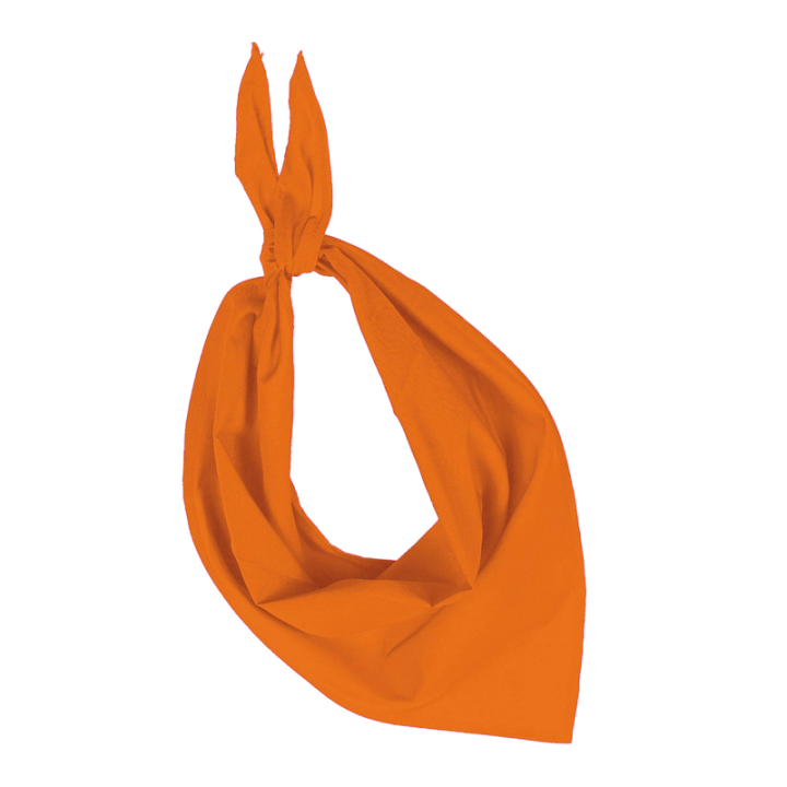 Bandana Festa Kariban