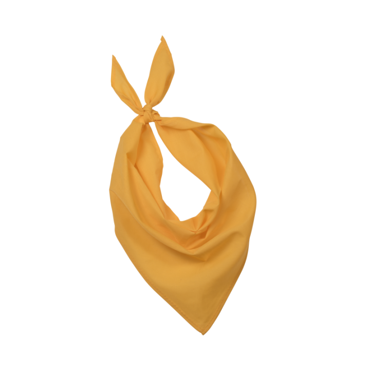 Bandana Festa Kariban