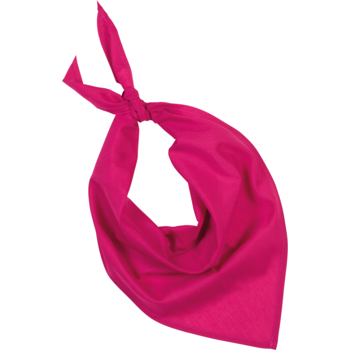 Bandana Festa Kariban