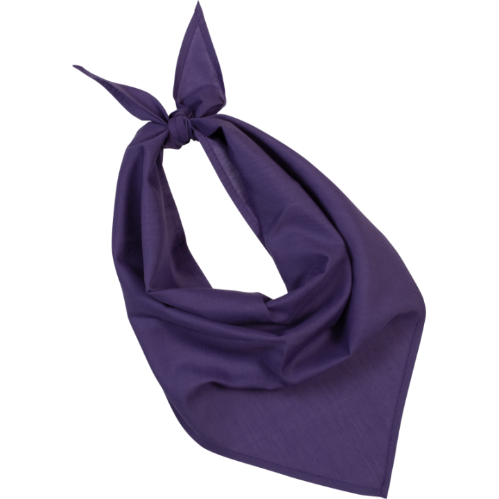 Bandana Festa Kariban