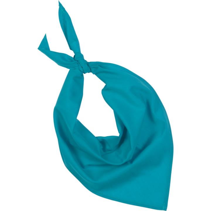 Bandana Festa Kariban