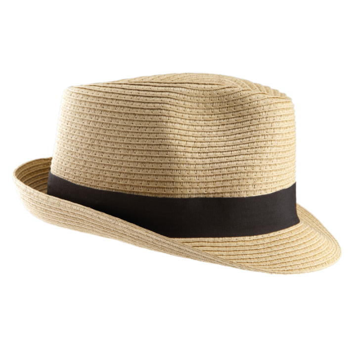 Chapeau Panama Kariban