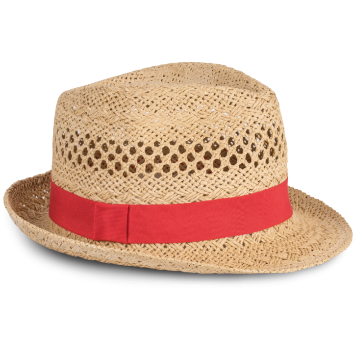 Chapeau de paille style Panama