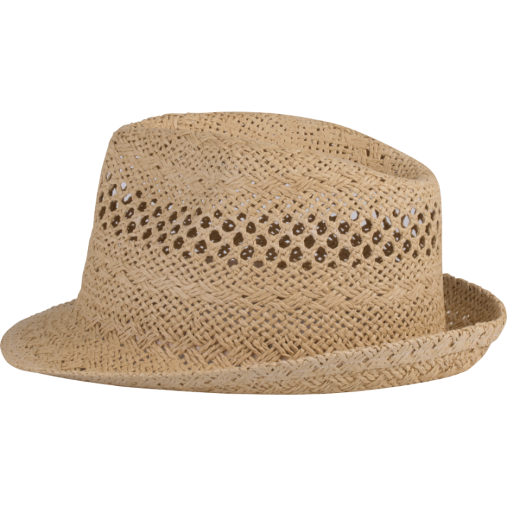 Chapeau de paille style Panama