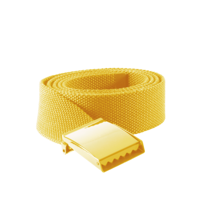 Ceinture en sangle polyester fermeture à boucle métallique