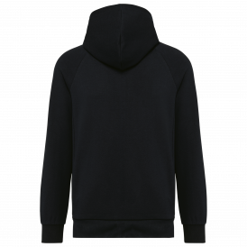 Veste zippée à capuche homme (2)