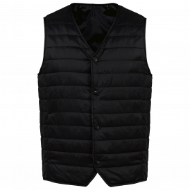 Bodywarmer léger homme (2)