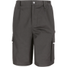 Short action work guard Result