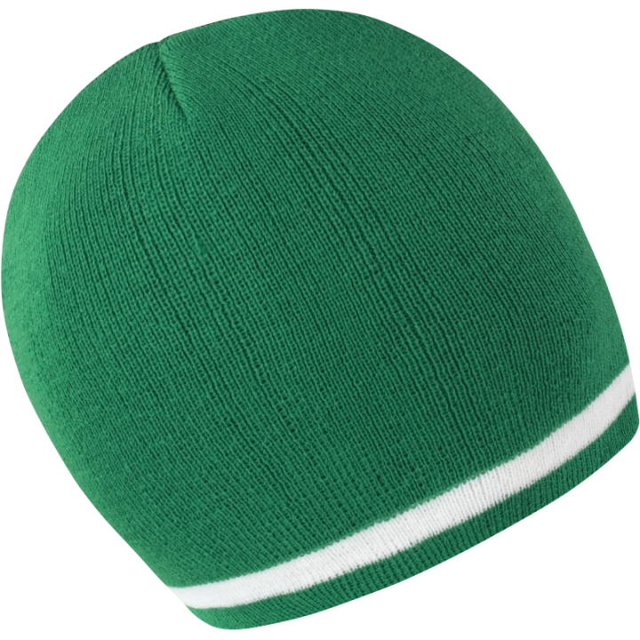 Bonnet supporter RESULT