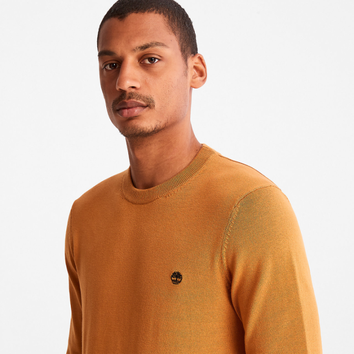 Pull coton bio col rond williams river Timberland