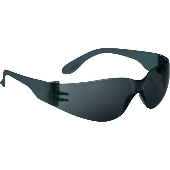 Boîte de 10 paires de lunettes fumées monobloc en polycarbonate