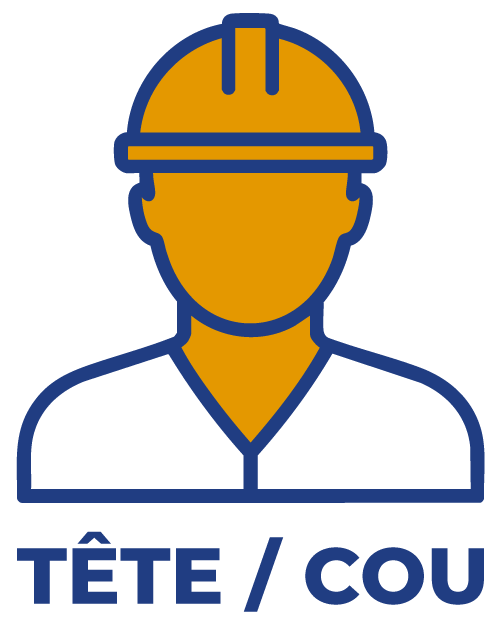 Tête / Cou
